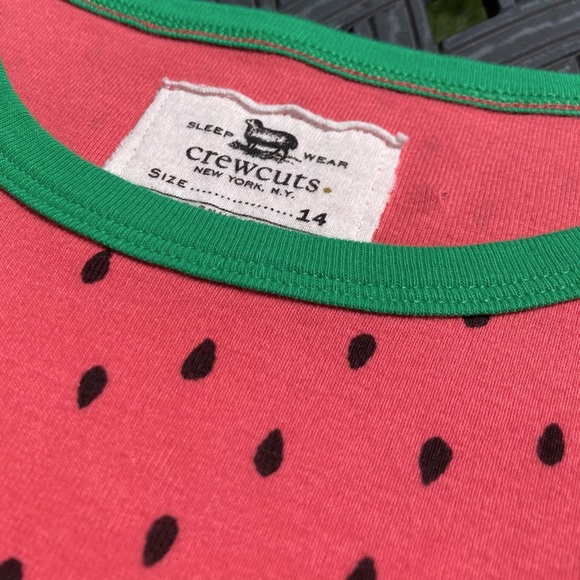 JCrew pink seeded green ringer watermelon t shirt NWOT Small - Picture 3 of 7